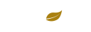 logo terraAlta