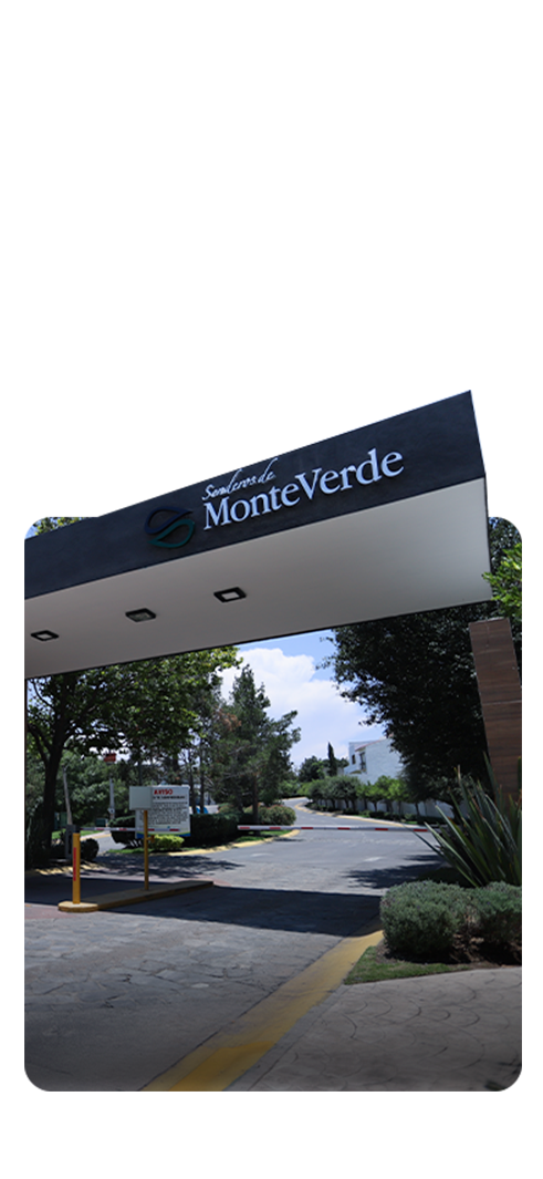 SENDEROS DE MONTEVERDE