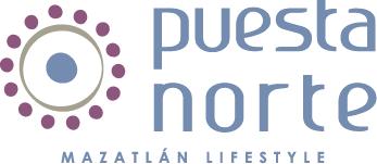 PUESTA NORTE
